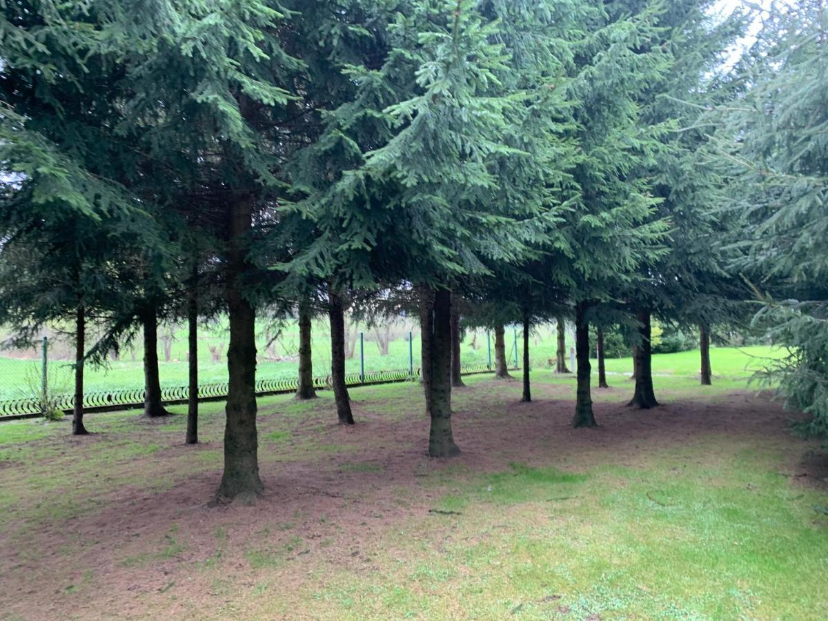 Domki Nad Stawem Uherce Uherce Mineralne Esterno foto
