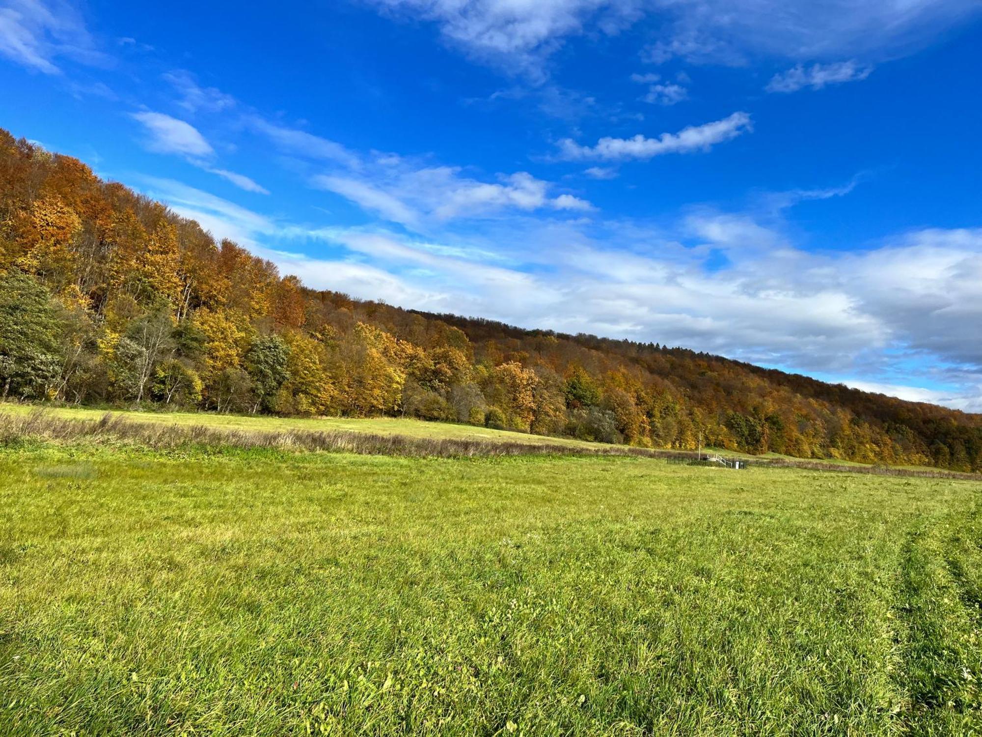Domki Nad Stawem Uherce Uherce Mineralne Esterno foto