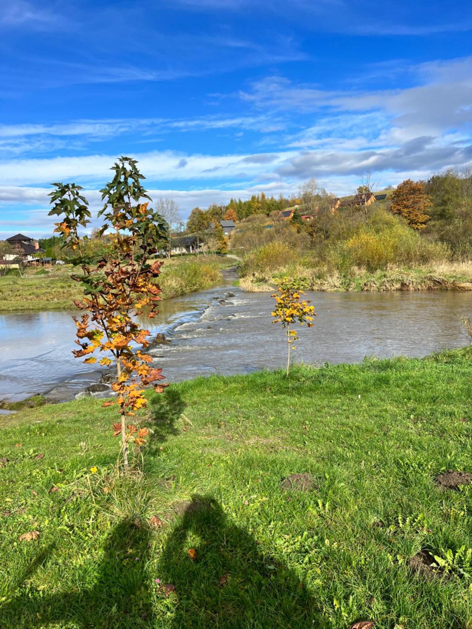 Domki Nad Stawem Uherce Uherce Mineralne Esterno foto
