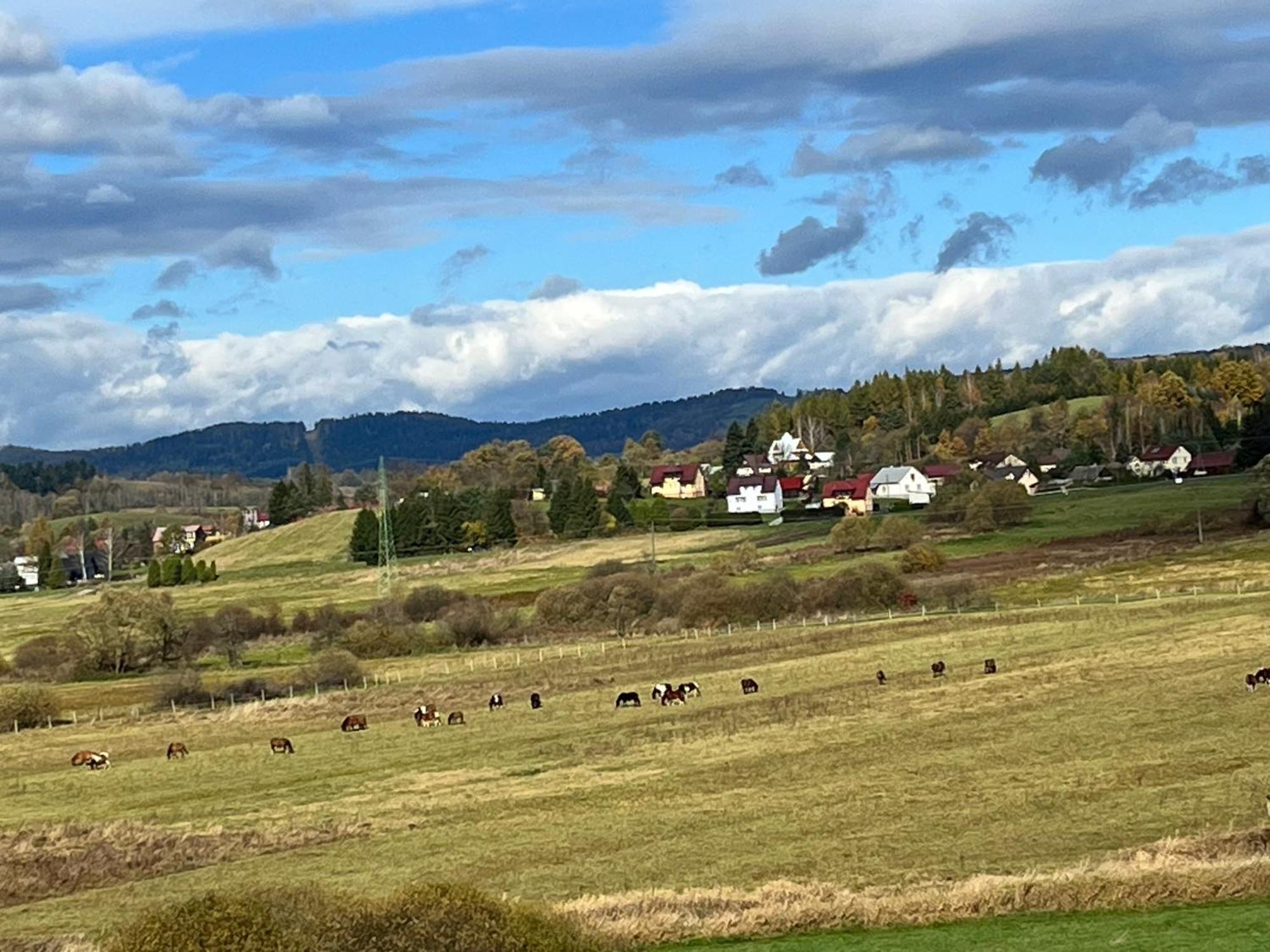 Domki Nad Stawem Uherce Uherce Mineralne Esterno foto