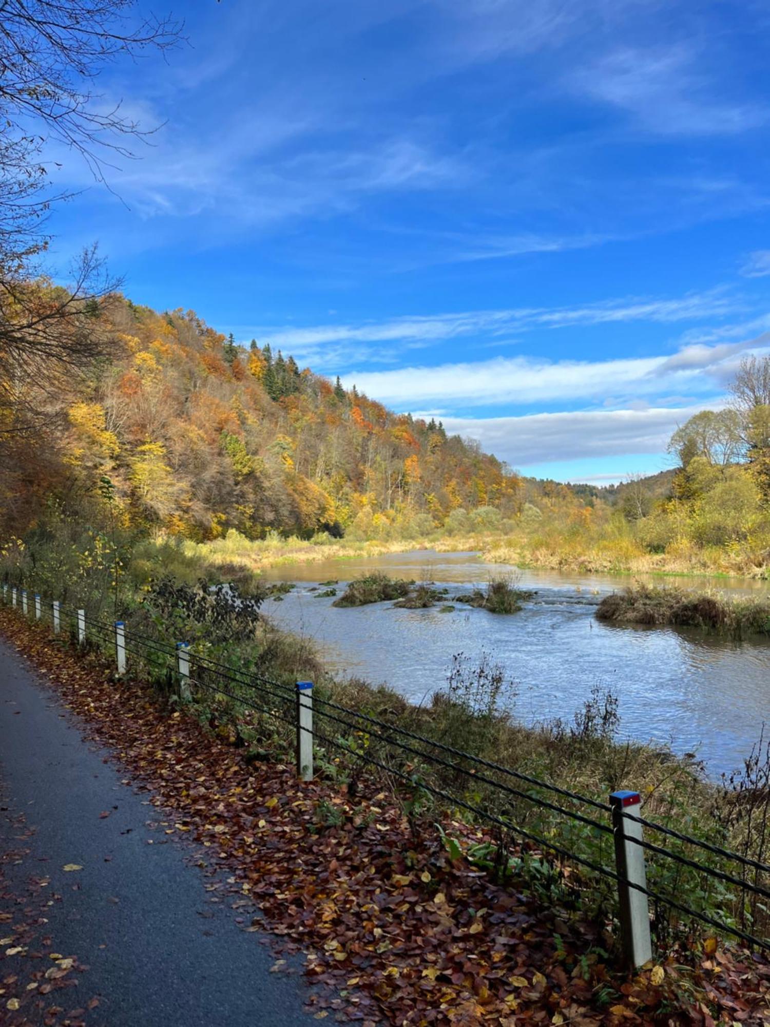Domki Nad Stawem Uherce Uherce Mineralne Esterno foto